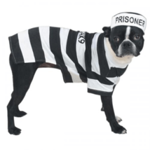 &quot;Breakout Buddy&quot; Dog Prison Costume - £20.77 GBP