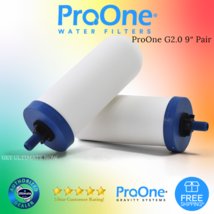 ProOne 9 inch G2.0 Filter per pair - £123.75 GBP