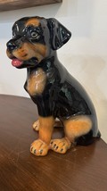 Large vintage  Italian Rottweiler Puppy Statue - $140.00