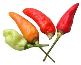 30 pcs Birds Eye Chili Pepper Capsicum Frutescens Vegetable Seeds - £7.07 GBP