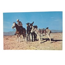 Postcard Greetings From Boot Hill Dodge City KS The Ranger And The Sourdough - $6.98