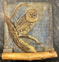 Vintage Signed Owl Painting on Wood Barn Plank  11x12 - £198.32 GBP