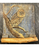 Vintage Signed Owl Painting on Wood Barn Plank  11x12 - £171.85 GBP
