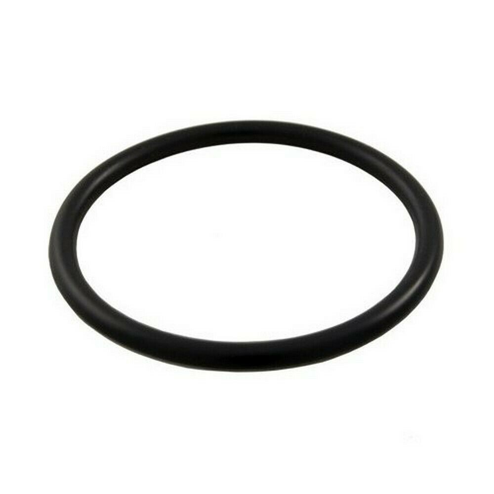 Hayward SPX1022CZ2 O-Ring for Winter Plug - $11.63