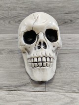 Vintage Halloween Blow Mold Skeleton Skull Plastic 7&quot; Halloween Decoration - £17.36 GBP