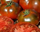 Paul Robeson Tomato Seeds 50 Beefsteak Indeterminate Garden Vegetable Fa... - £7.20 GBP