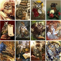 Paint By Numbers Kit Owl Animal DIY Oil Painting On Canvas for Adults Beginners - £14.93 GBP