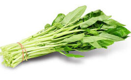 50 White Stem Water Spinach Seeds Ong Choy,Kong Xin Cai,Heavy Producer  - $6.49 CAD