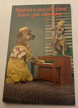 Vintage Postcard Unposted Dogs  2 Dogs Playing Piano Wish You Were Here - $3.09