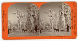 c1890&#39;s Stereoview Card Beautiful Winter Scene Horse &amp; Sleigh Niagra Falls, NY - £7.57 GBP