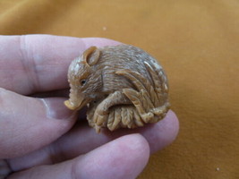 tb-pig-5 little tan pig Tagua NUT palm figurine Bali carving Piglet hog - $35.76