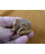 tb-pig-5 little tan pig Tagua NUT palm figurine Bali carving Piglet hog - £28.33 GBP