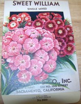 Vintage 1920s Seed packet 4 framing Sweet William F F Smith co Sacramen... - $10.00