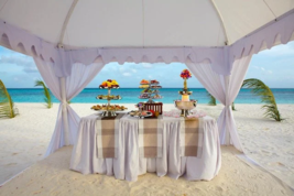 COCKTAIL BUFFET FOUNTAIN CHAMPAGNE FOUNTAIN WINE JUICE BEVERAGES Party F... - $1,780.02