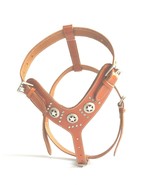 Shwaan Aztec Medium and Big Dog Leather Harness. 2 Tone Rivet Decorations. - $113.05 CAD+