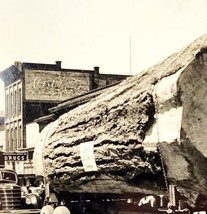 Coca Cola RPPC Coke Washington State c1920s Pac NW Fir Logging Trucking PCBG6F - £75.14 GBP