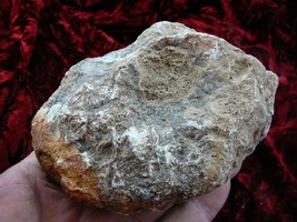 (DF843-104) Fossil REAL DINOSAUR POOP Coprolite scat Dino Valley Utah DU... - $60.76