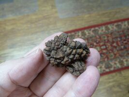 Item image 1 image 1