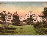 The Glen Springs Hotel Watkins New York NY UNP Albertype DB Postcard W19 - $4.90