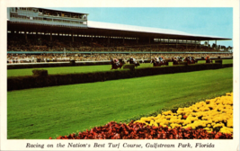 Vtg Postcard Racing on the Nation&#39;s Best Turf Course, Gulfstream Park, PM 1978 - £4.56 GBP
