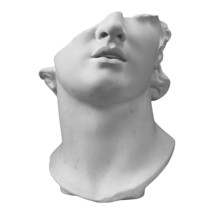 An item in the Art category: Fragment Head of Apollo Sculpture Statue Hard Plaster Museum Copy 9.84 in