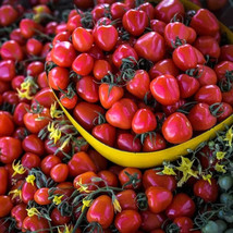 VC Sweetheart Cherry Tomato Seeds Sweet Heart Snacking Prolific Indeterm... - $9.77