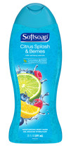 Softsoap Moisturizing Body Wash, Citrus Splash & Berries, 20 Ounce - £6.25 GBP
