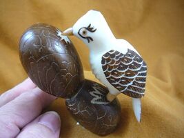 (TNE-BIR-WO-392B) Woodpecker bird birds TAGUA NUT figurine woodpeckers - $31.97
