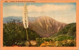 Yucca In Bloom In California Postcard - £7.81 GBP