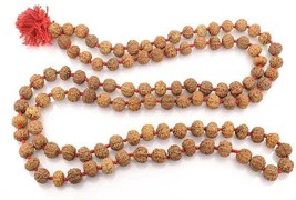 8 Mukhi Rudraksha Mala Java Origin 14 - 16 mm Size 109 beads Lab Certified - $228.57