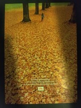 Eli Lilly Pharmaceutical Ad 1971 Fall Leaves Indianapolis Vintage Magazi... - $4.94