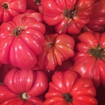 Mushroom Basket Tomato Seeds Fresh Fast Shipping - €5,14 EUR Mushroom Basket Tomato Seeds Fresh Fast Shipping - €5,14 EUR