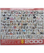 World of Cats 39.25&quot; x 26.625&quot; Jigsaw Puzzle by EuroGraphics ~ 2000 pcs ... - €15,36 EUR