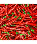 Spicy Pusa Jwala Pepper Seeds - Authentic Indian Chilli, Ideal for Growi... - £5.60 GBP