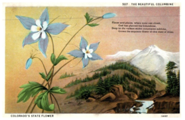 The Blue Columbine State Flower of Colorado Flowers Postcard - £7.08 GBP