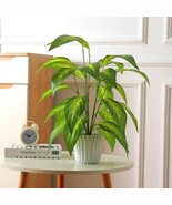 22" Fake Plants Artificial Tropical Plant Indoor in White Pot for Home O... - €13,70 EUR 22" Fake Plants Artificial Tropical Plant Indoor in White Pot for Home O... - €13,70 EUR