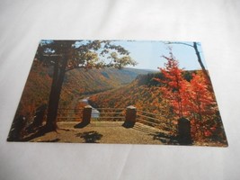 Vintage Postcard unposted Cedar Run Lookout Pennsylvania Lake fall natur... - $6.00