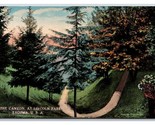 Cañón En Lincoln Parque TACOMA Washington Wa Unp DB Tarjeta Postal V18 - $7.87