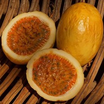 Passiflora Edulis Flavicarpa Yellow Passionfruit 20 Seeds Usa Fast Shipping - £13.24 GBP