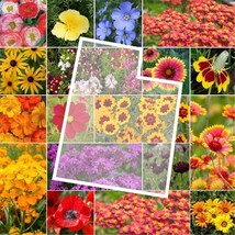 Wildflower Utah State Flower Mix Perennials &amp; Annuals Usa NON GMO 1000 Seeds - £5.88 GBP
