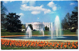 Washington DC Postcard White House Grounds Fountain Tulips - £2.32 GBP