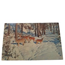 Postcard Deer In The Deep Woods Wildlife Snow Chrome Posted - £5.41 GBP