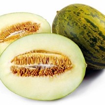 Piel De Sapo Cantaloupe Seeds Spanish Melon Fresh Garden - £9.08 GBP