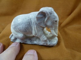 ele-w43) pachyderm of shed ANTLER figurine Bali detailed love little ele... - $282.36