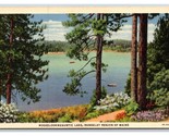 View From Shore Mooselookmeguntic Lake Maine ME Linen Postcard N21 - $2.92