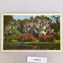 Southern Scene Azaleas Live Oaks Spanish Moss Florida 1950s Postcard 1953 - $9.89