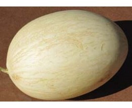 Juan Canary melon 100+ seeds winter yelllow branco Ribatejo white Cucumis Melo - £4.12 GBP+