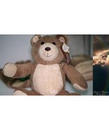 Collectibles - Lavender Aromatherapy Benji Bear, Warming Blanket and Keeper - $799.99