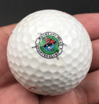 Oakland Hills Country Club Bloomfield MI Souvenir Golf Ball Titleist HVC 90 - $9.49