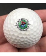 Oakland Hills Country Club Bloomfield MI Souvenir Golf Ball Titleist HVC 90 - £7.43 GBP